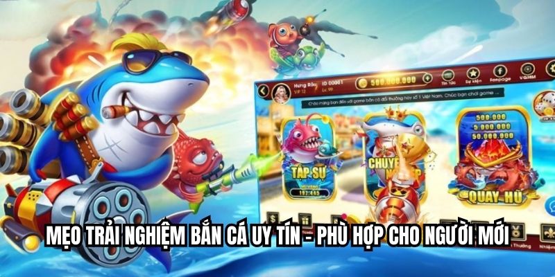 Mẹo trải nghiệm bắn cá uy tín – phù hợp cho người mới